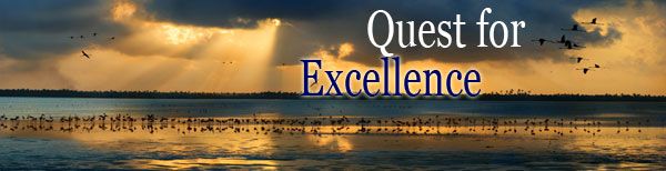 banner_excellence